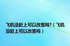 飞机没赶上可以改签吗?（飞机没赶上可以改签吗）