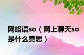 网络语so（网上聊天so是什么意思）