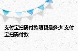 支付宝扫码付款限额是多少 支付宝扫码付款 