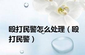 殴打民警怎么处理（殴打民警）