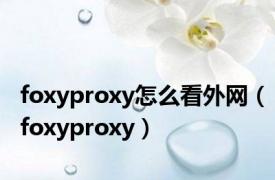 foxyproxy怎么看外网（foxyproxy）