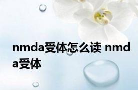 nmda受体怎么读 nmda受体 