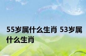 55岁属什么生肖 53岁属什么生肖 