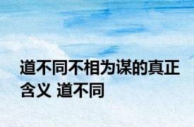 道不同不相为谋的真正含义 道不同 