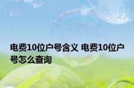 电费10位户号含义 电费10位户号怎么查询 