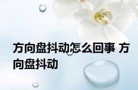 方向盘抖动怎么回事 方向盘抖动 