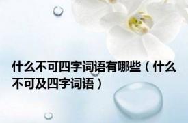 什么不可四字词语有哪些（什么不可及四字词语）