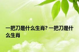 一把刀是什么生肖? 一把刀是什么生肖 