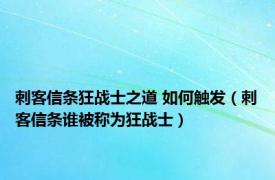 刺客信条狂战士之道 如何触发（刺客信条谁被称为狂战士）