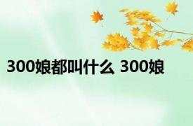 300娘都叫什么 300娘 