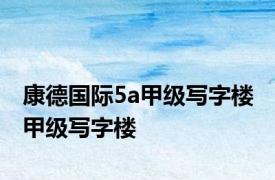 康德国际5a甲级写字楼 甲级写字楼 