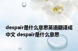 despair是什么意思英语翻译成中文 despair是什么意思 