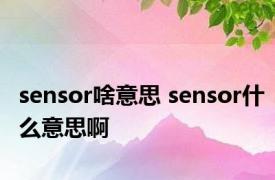 sensor啥意思 sensor什么意思啊 