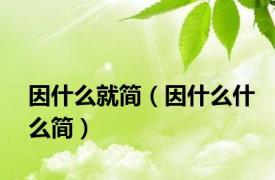 因什么就简（因什么什么简）