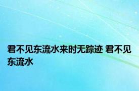 君不见东流水来时无踪迹 君不见东流水 