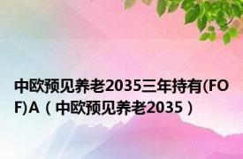 中欧预见养老2035三年持有(FOF)A（中欧预见养老2035）