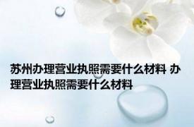 苏州办理营业执照需要什么材料 办理营业执照需要什么材料 