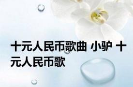 十元人民币歌曲 小驴 十元人民币歌 