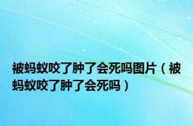 被蚂蚁咬了肿了会死吗图片（被蚂蚁咬了肿了会死吗）