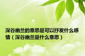 深谷幽兰的意思是可以抒发什么感情（深谷幽兰是什么意思）