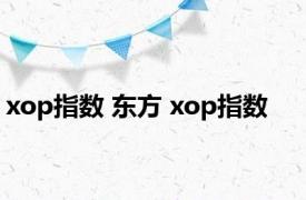 xop指数 东方 xop指数 