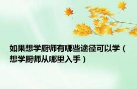 如果想学厨师有哪些途径可以学（想学厨师从哪里入手）