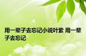 用一辈子去忘记小说叶紫 用一辈子去忘记 