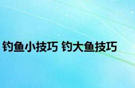 钓鱼小技巧 钓大鱼技巧 