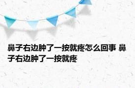 鼻子右边肿了一按就疼怎么回事 鼻子右边肿了一按就疼 