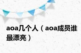 aoa几个人（aoa成员谁最漂亮）