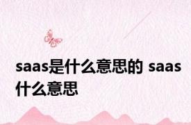 saas是什么意思的 saas什么意思 