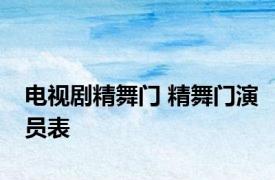 电视剧精舞门 精舞门演员表 