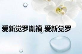 爱新觉罗胤禛 爱新觉罗 