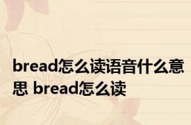 bread怎么读语音什么意思 bread怎么读 