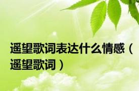 遥望歌词表达什么情感（遥望歌词）