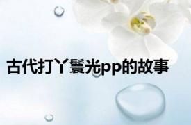 古代打丫鬟光pp的故事