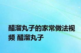 醋溜丸子的家常做法视频 醋溜丸子 