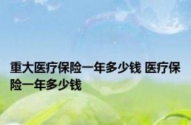 重大医疗保险一年多少钱 医疗保险一年多少钱 