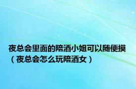 夜总会里面的陪酒小姐可以随便摸（夜总会怎么玩陪酒女）