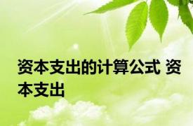 资本支出的计算公式 资本支出 