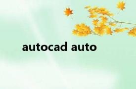 autocad auto 