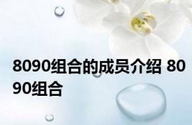 8090组合的成员介绍 8090组合 