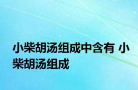 小柴胡汤组成中含有 小柴胡汤组成 