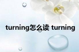 turning怎么读 turning 