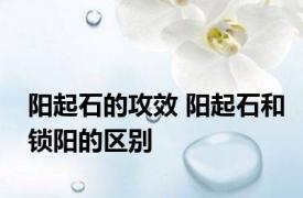 阳起石的攻效 阳起石和锁阳的区别 