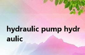 hydraulic pump hydraulic 