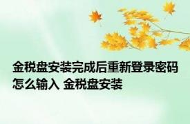 金税盘安装完成后重新登录密码怎么输入 金税盘安装 