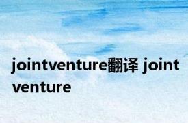 jointventure翻译 jointventure 