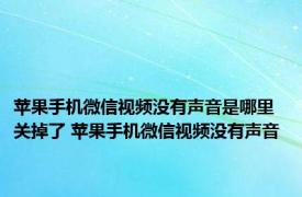 苹果手机微信视频没有声音是哪里关掉了 苹果手机微信视频没有声音 