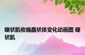 睫状肌收缩晶状体变化动画图 睫状肌 